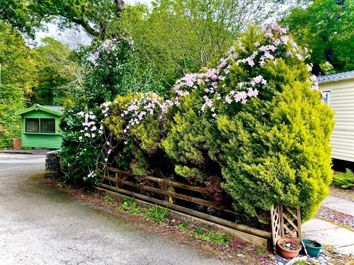 Snowdonia Holidays Caravan Hire - Aberdunant Park - 34 The Green Prenteg Buitenkant foto