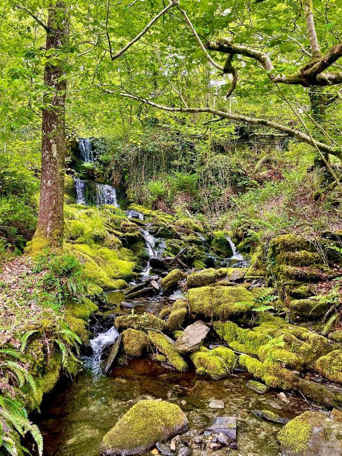 Snowdonia Holidays Caravan Hire - Aberdunant Park - 34 The Green Prenteg Buitenkant foto